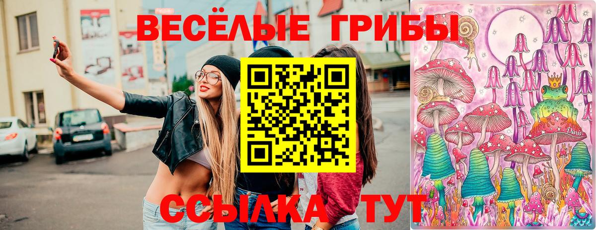 Галлюциногенные грибы Psilocybe  Галлюциногенные грибы Psilocybine cubensis  Вход с VPN  Рассказово 